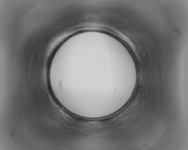 X0000112961464200909241150