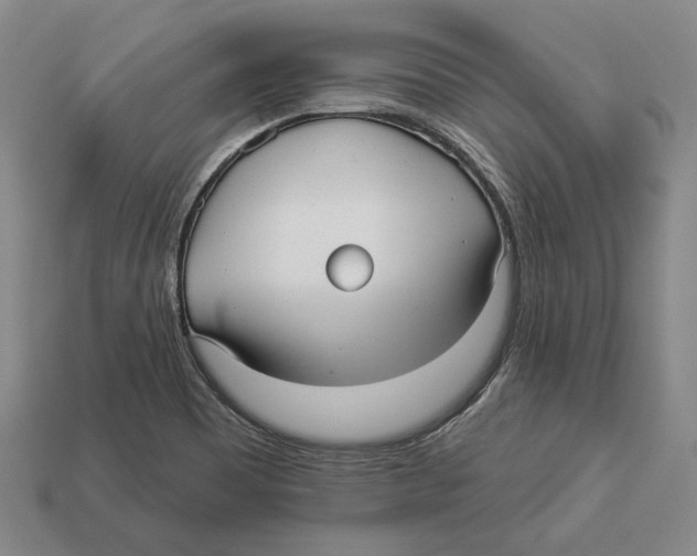 X0000112961465200909241150