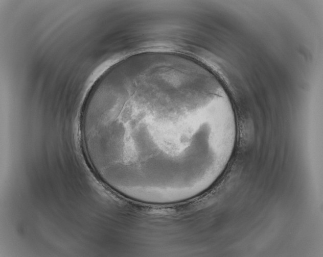 X0000112961466200909241150