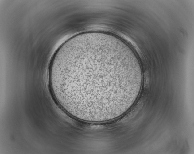 X0000112961467200909241150