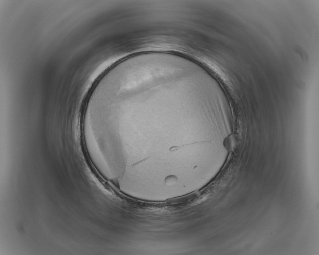 X0000112961468200909241150