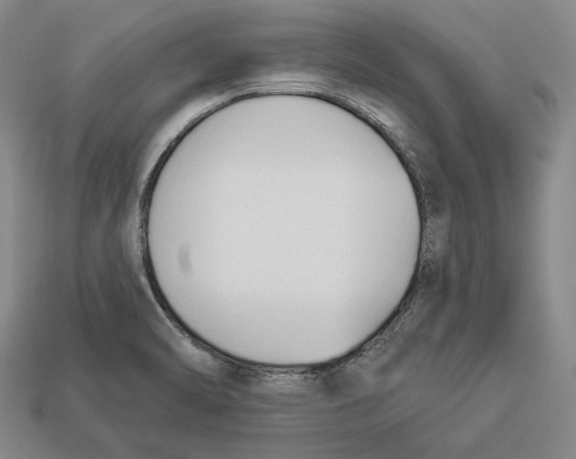 X0000112961470200909241150