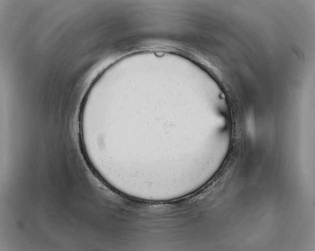 X0000112961471200909241150