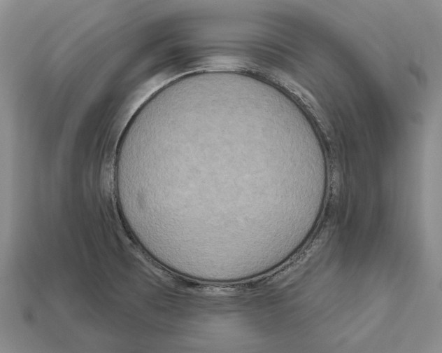 X0000112961473200909241149