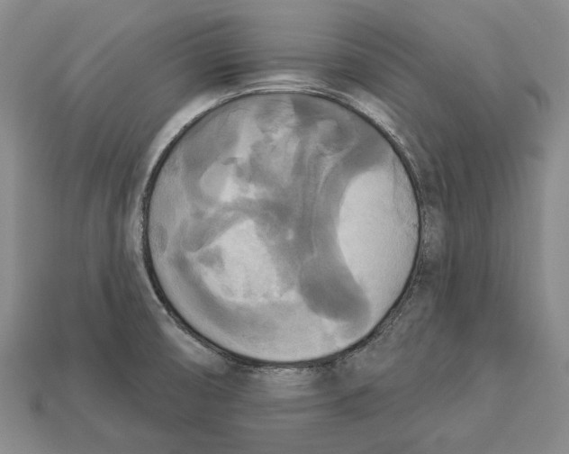 X0000112961474200909241149