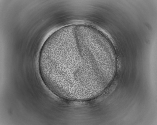 X0000112961475200909241149