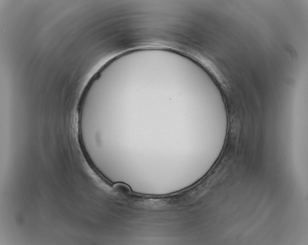 X0000112961476200909241149