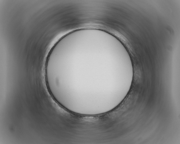 X0000112961478200909241149