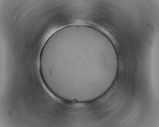 X0000112961479200909241149