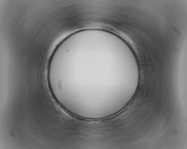 X0000112961480200909241149