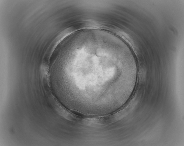 X0000112961481200909241149