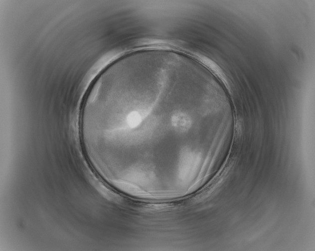 X0000112961482200909241149