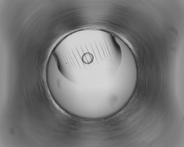 X0000112961484200909241149