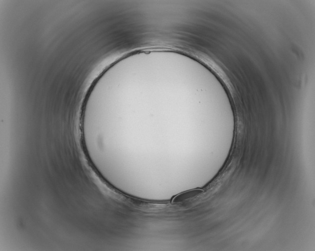 X0000112961485200909241149