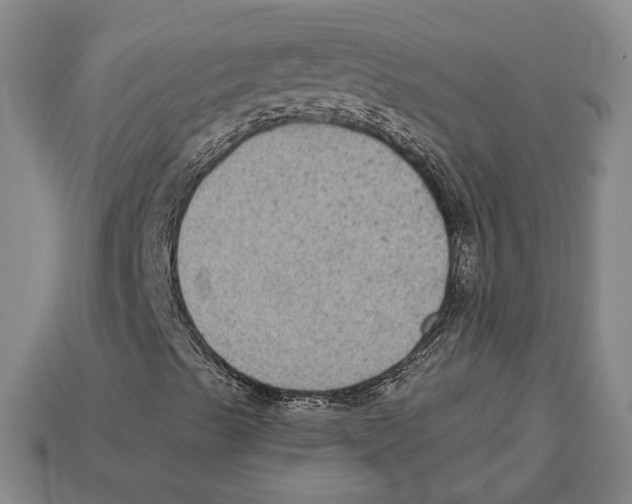 X0000112961489200909241149