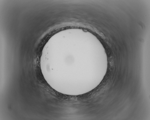 X0000112961495200909241149