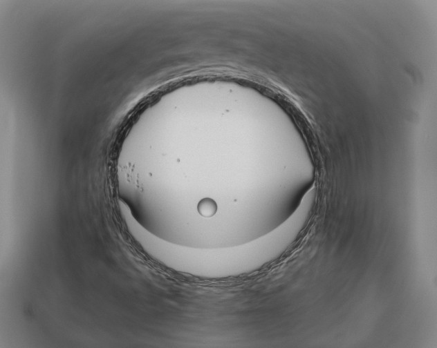 X0000112961496200909241149