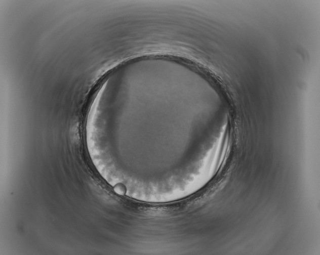 X0000112961497200909241149