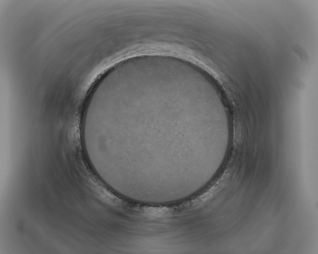 X0000112961498200909241149