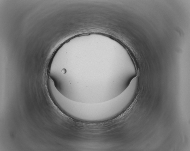 X0000112961500200909241149