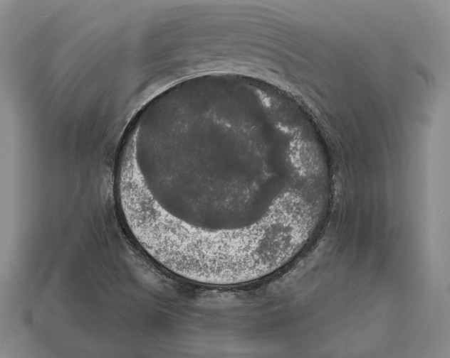 X0000112961505200909241149