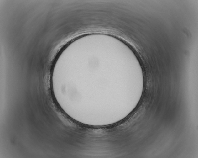 X0000112961507200909241149