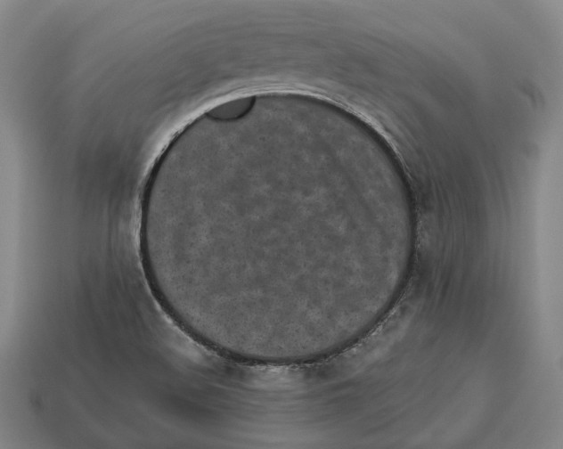 X0000112961508200909241149