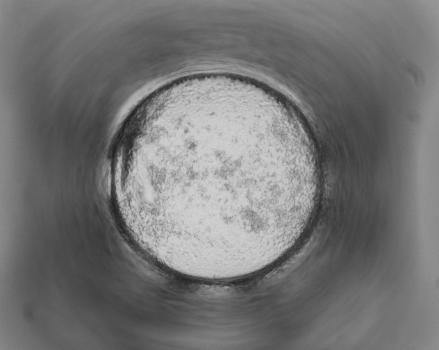 X0000112961509200909241149