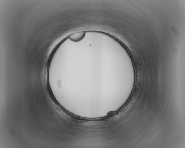 X0000112961510200909241149