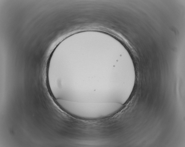 X0000112961512200909241149