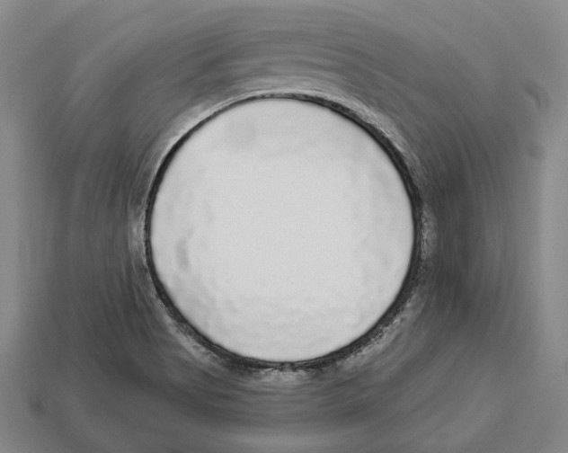 X0000112961513200909241149