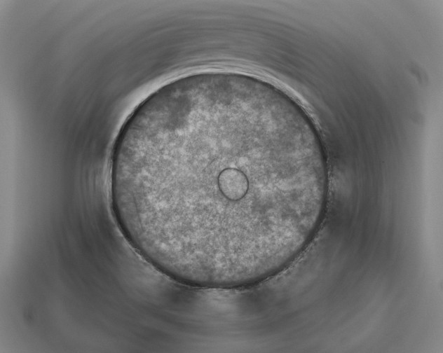 X0000112961514200909241149