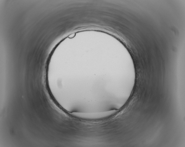 X0000112961518200909241149