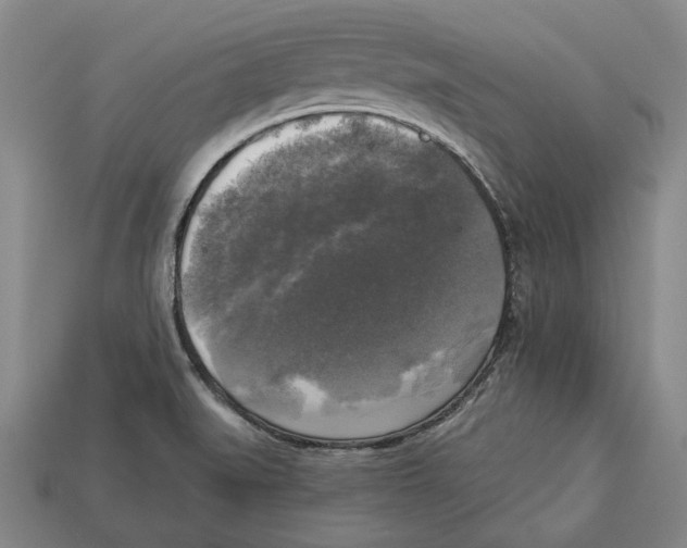 X0000112961519200909241149