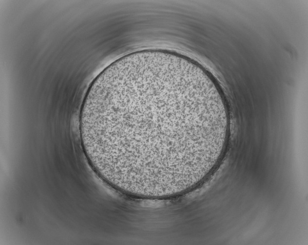 X0000112961521200909241149