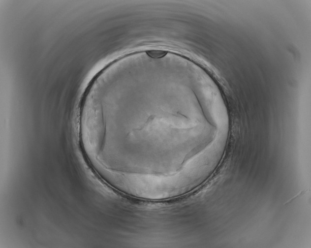 X0000112961522200909241149