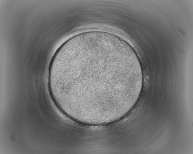 X0000112961523200909241149