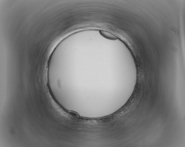 X0000112961524200909241149