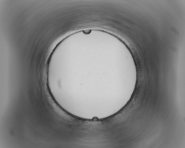 X0000112961526200909241149