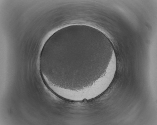 X0000112961527200909241149