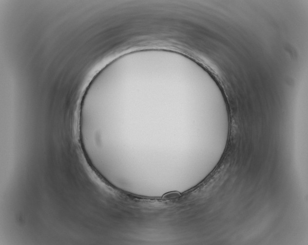 X0000112961528200909241149