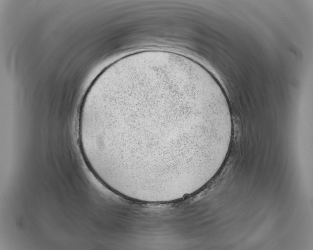 X0000112961531200909241149