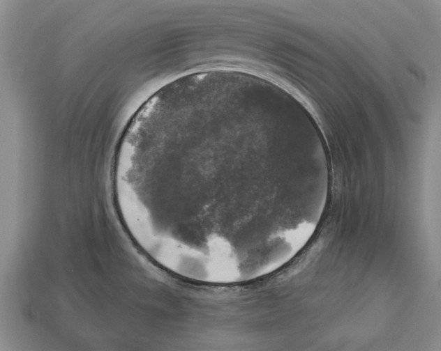 X0000112961533200909241149