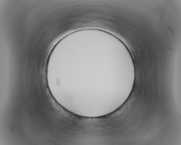 X0000112961534200909241149