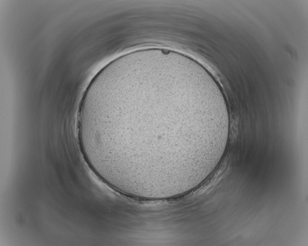 X0000112961535200909241149