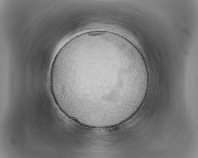 X0000112961536200909241149