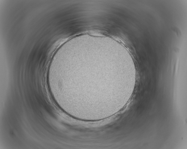 X0000112960001200910081055