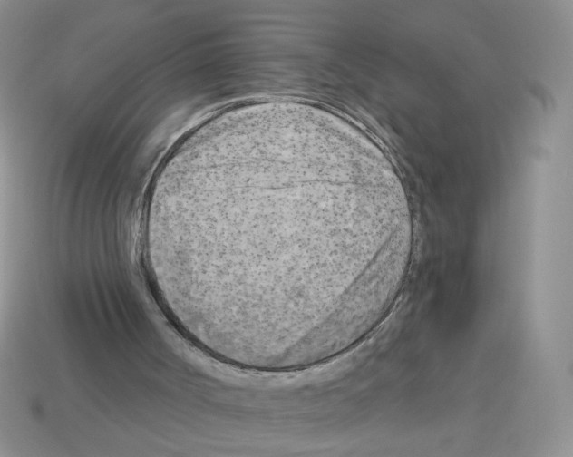 X0000112960002200910081055