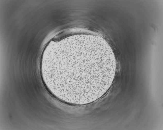 X0000112960004200910081055