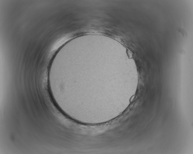 X0000112960005200910081055